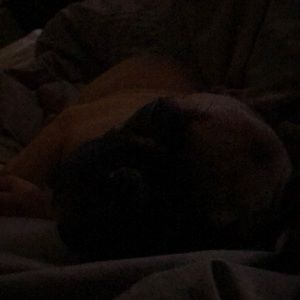 Meet your Posher, Tracey